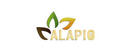 Alapio